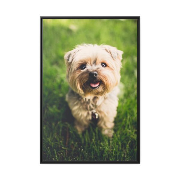 88299-56.jpg Little Puppy on the Grass Framed Canvas