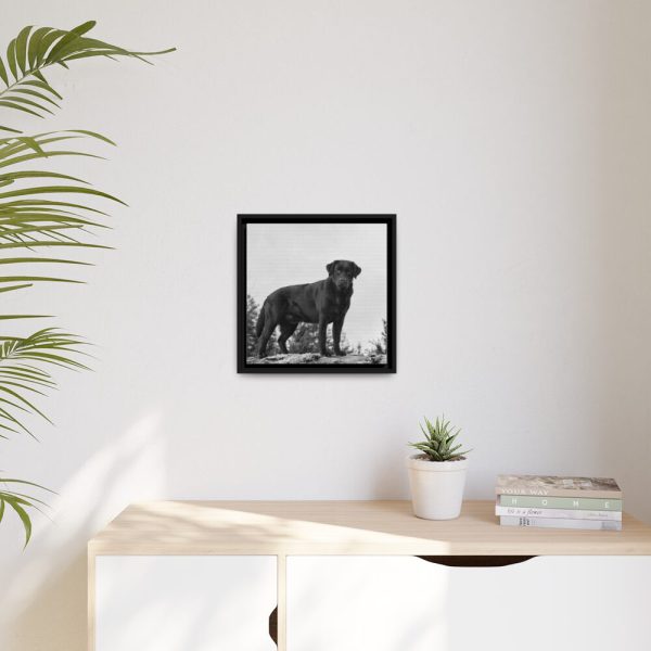 88300-3.jpg Black Labrador Dog Framed Canvas