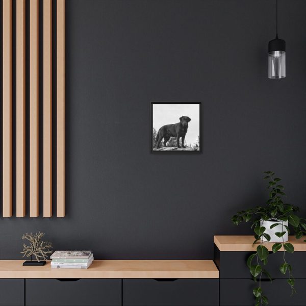 88300-4.jpg Black Labrador Dog Framed Canvas