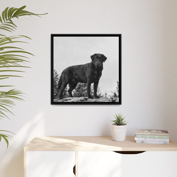 88301-3.jpg Black Labrador Dog Framed Canvas