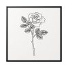 88302-136.jpg Rose Illustration Framed Canvas