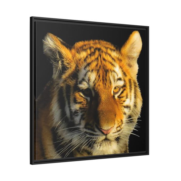 Tiger Look Framed Canvas
