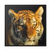 Tiger Look Framed Canvas
