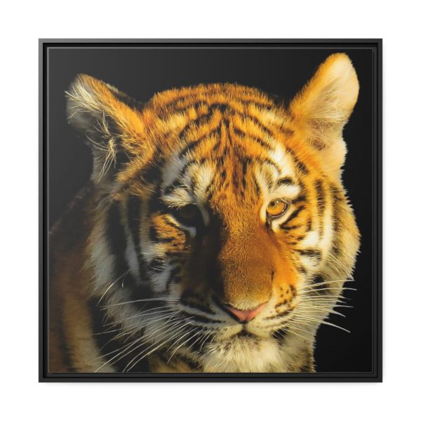 Tiger Look Framed Canvas