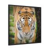 88302-170.jpg Siberian Tiger Framed Canvas