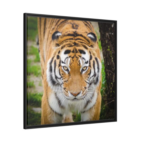 88302-170.jpg Siberian Tiger Framed Canvas