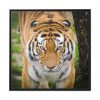 88302-171.jpg Siberian Tiger Framed Canvas