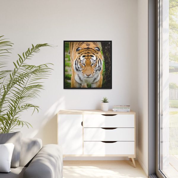 88302-173.jpg Siberian Tiger Framed Canvas