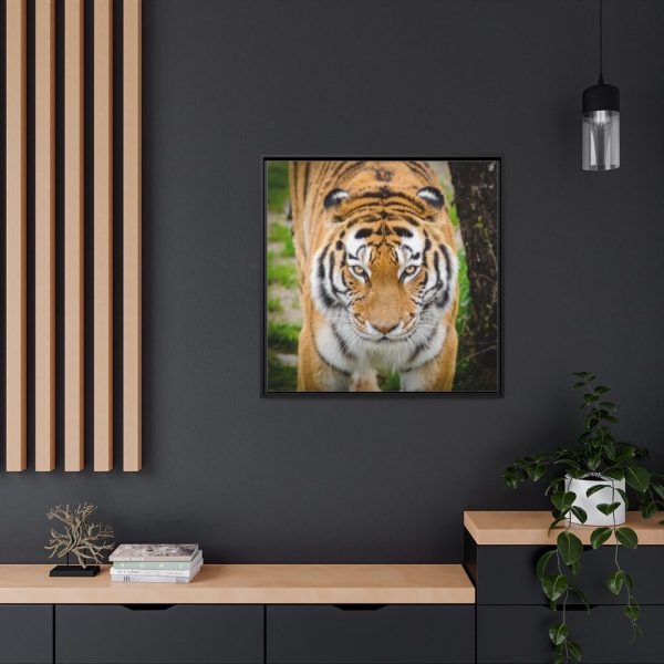 88302-174.jpg Siberian Tiger Framed Canvas