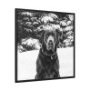 88302-180.jpg Puka the Chocolate Lab by Carol M. Highsmith Framed Canvas