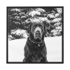 88302-181.jpg Puka the Chocolate Lab by Carol M. Highsmith Framed Canvas