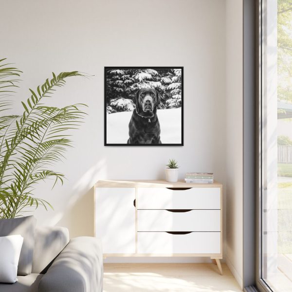 88302-183.jpg Puka the Chocolate Lab by Carol M. Highsmith Framed Canvas