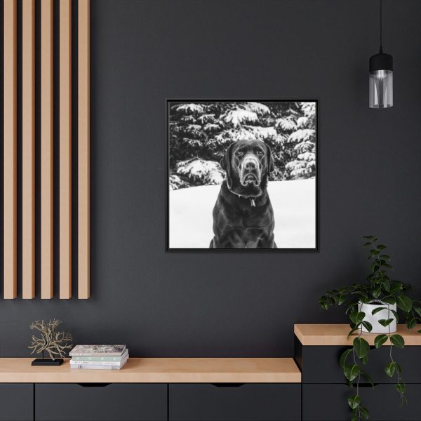 88302-184.jpg Puka the Chocolate Lab by Carol M. Highsmith Framed Canvas