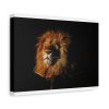 Wild Lion Standard Canvas