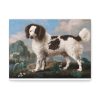 91624-10.jpg Brown and White Norfolk or Water Spaniel by George Stubbs Standard Canvas