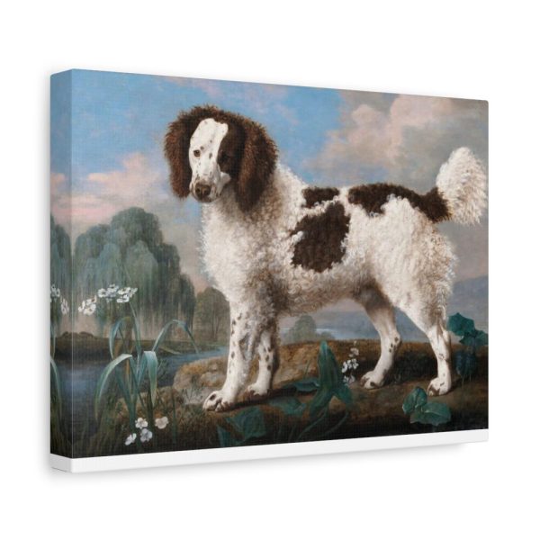 91624-11.jpg Brown and White Norfolk or Water Spaniel by George Stubbs Standard Canvas