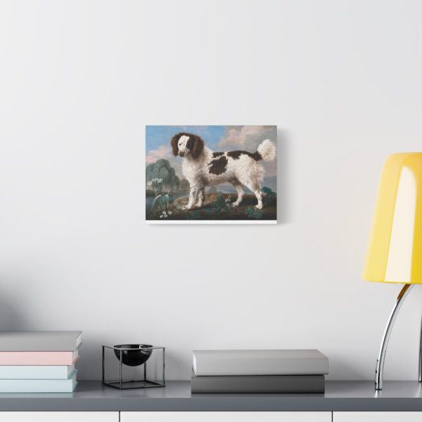 91624-12.jpg Brown and White Norfolk or Water Spaniel by George Stubbs Standard Canvas