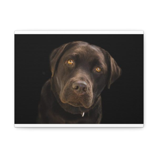 91624-20.jpg Labrador Retriever Standard Canvas