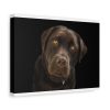 91624-21.jpg Labrador Retriever Standard Canvas