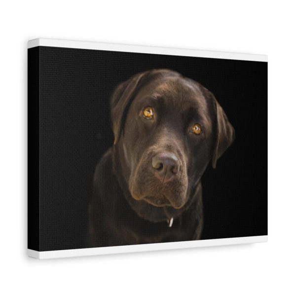 91624-21.jpg Labrador Retriever Standard Canvas