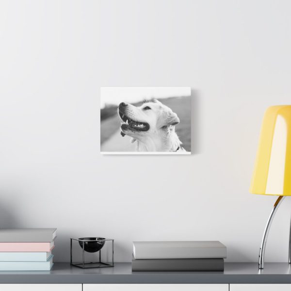 91624-27.jpg Labrador Retriever Dog in Black and White Standard Canvas