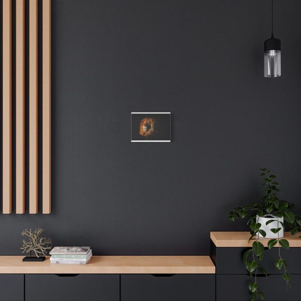 Wild Lion Standard Canvas