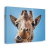 An Up-Close Look at a Giraffe at the Gladys Porter Zoo Standard Canvas