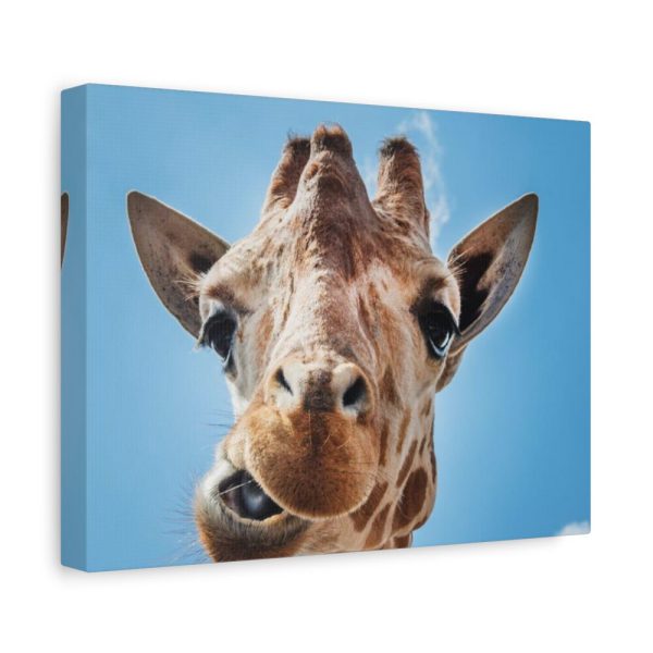 An Up-Close Look at a Giraffe at the Gladys Porter Zoo Standard Canvas