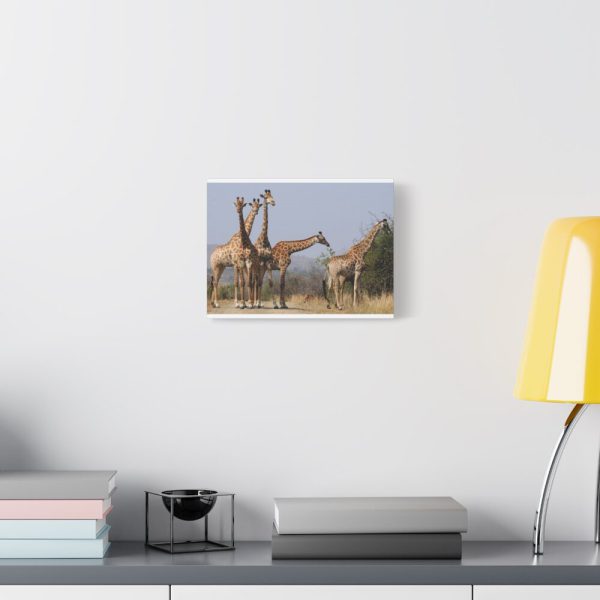 91624-37.jpg Free Giraffes in the Wild Standard Canvas