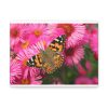91624-40.jpg Butterfly on Pink Flower Standard Canvas