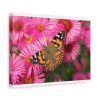 91624-41.jpg Butterfly on Pink Flower Standard Canvas