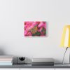 91624-42.jpg Butterfly on Pink Flower Standard Canvas