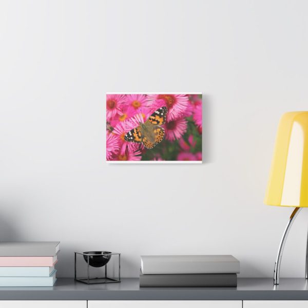 91624-42.jpg Butterfly on Pink Flower Standard Canvas