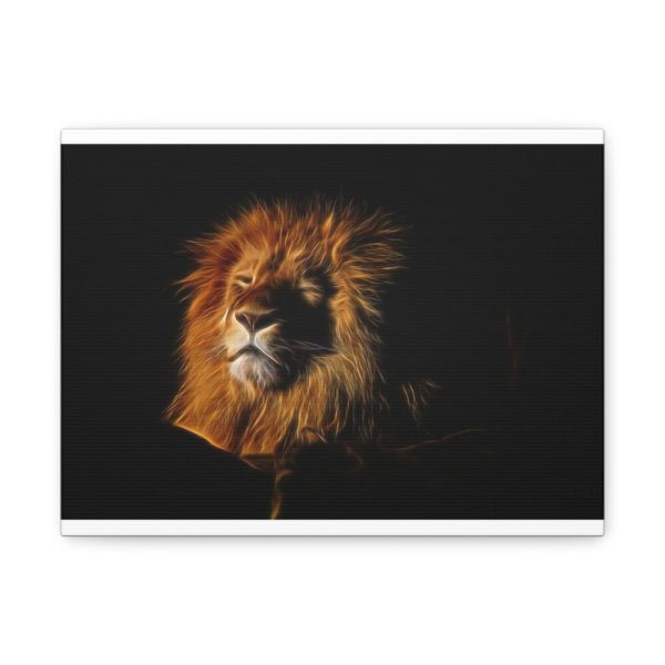 Wild Lion Standard Canvas