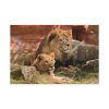 91638-101.jpg Lion South Africa Standard Canvas
