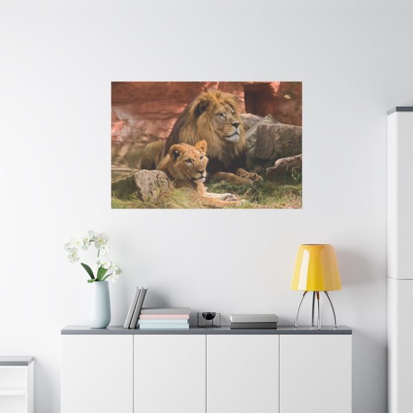 91638-102.jpg Lion South Africa Standard Canvas