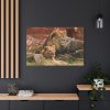 91638-103.jpg Lion South Africa Standard Canvas