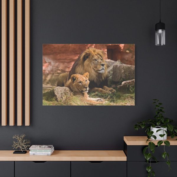 91638-103.jpg Lion South Africa Standard Canvas