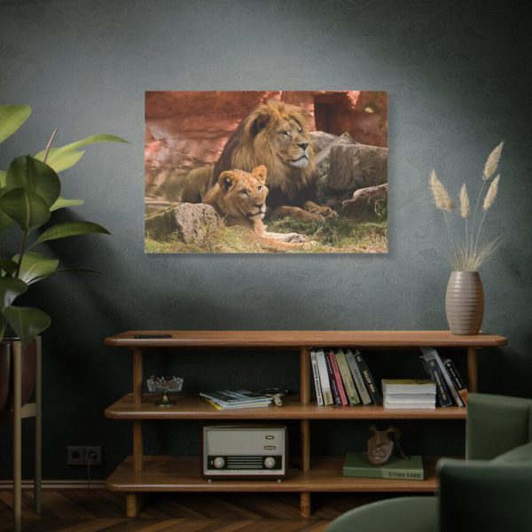 91638-104.jpg Lion South Africa Standard Canvas