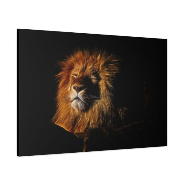 Wild Lion Standard Canvas