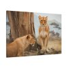 91638-110.jpg Female Lion Standard Canvas