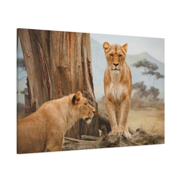 91638-110.jpg Female Lion Standard Canvas