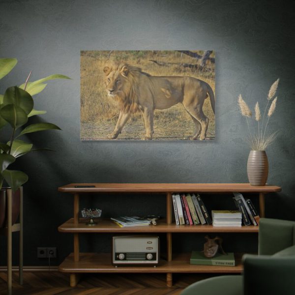 91638-119.jpg Lion Wild Cat Standard Canvas