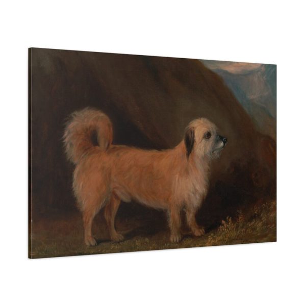 91638-150.jpg A Dandie Dinmont Terrier Standard Canvas