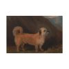 91638-151.jpg A Dandie Dinmont Terrier Standard Canvas