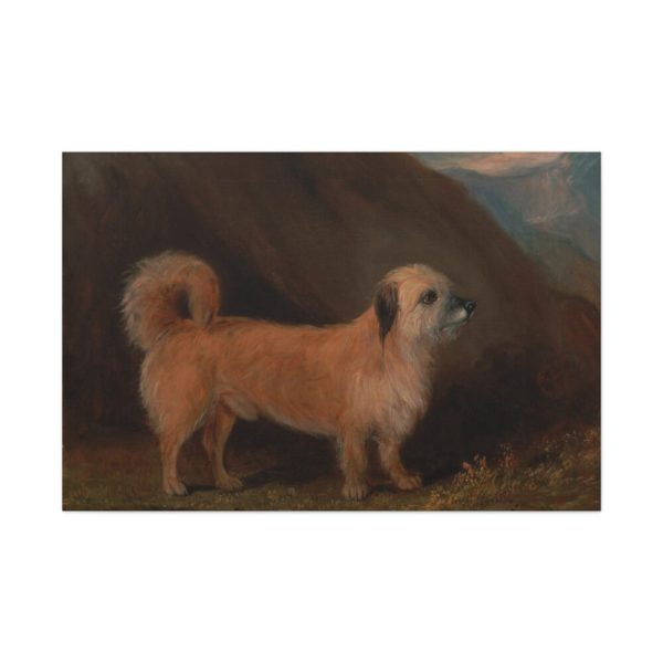 91638-151.jpg A Dandie Dinmont Terrier Standard Canvas