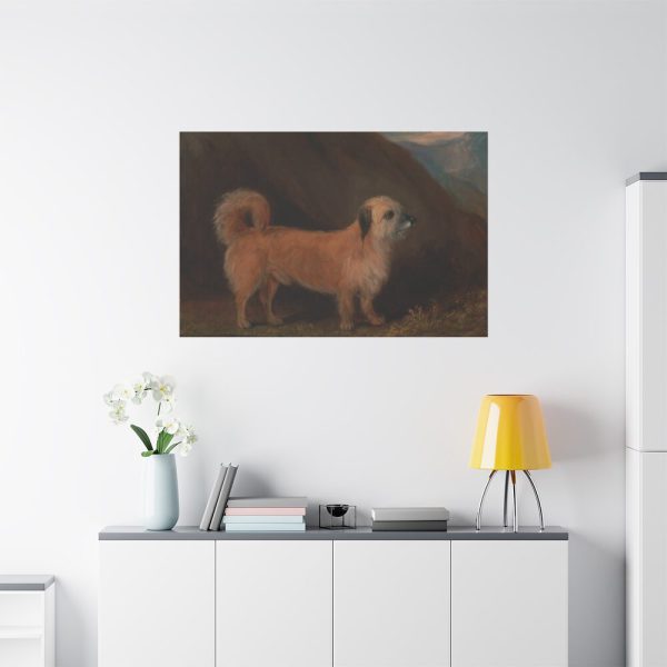 91638-152.jpg A Dandie Dinmont Terrier Standard Canvas