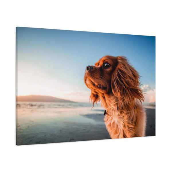 91638-195.jpg Brown Puppy on the Beach Standard Canvas