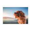 91638-196.jpg Brown Puppy on the Beach Standard Canvas