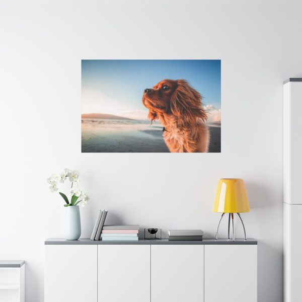 91638-197.jpg Brown Puppy on the Beach Standard Canvas